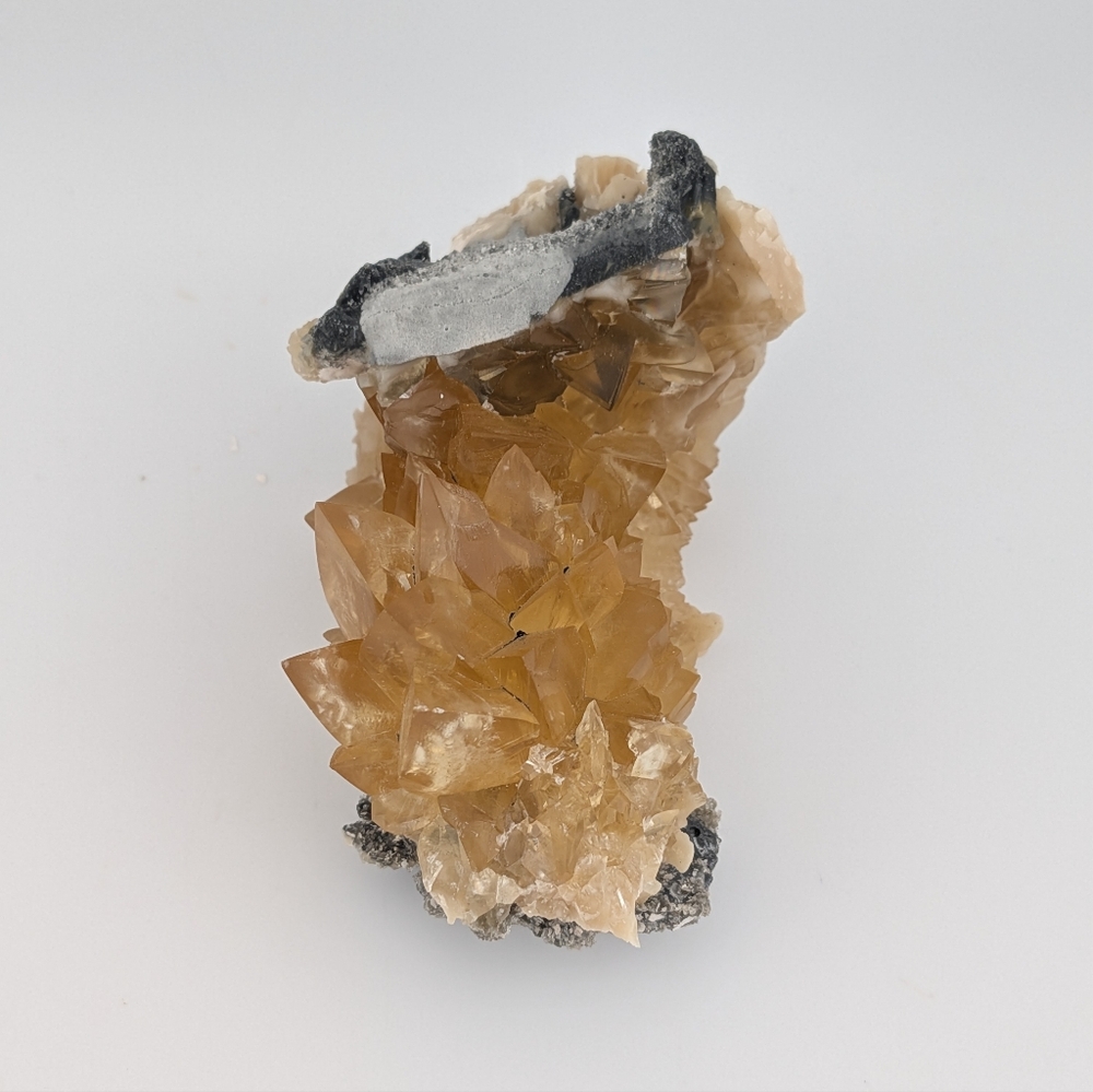 Fossil Clam Calcite Crystal Specimen - Picture 3 of 4
